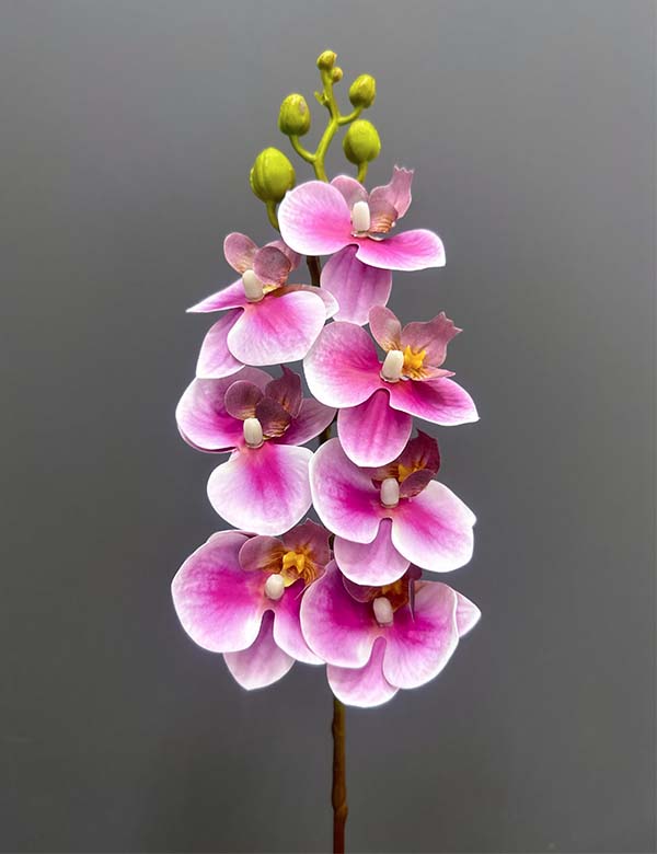 Orchid single (7 flowers) 2524-16