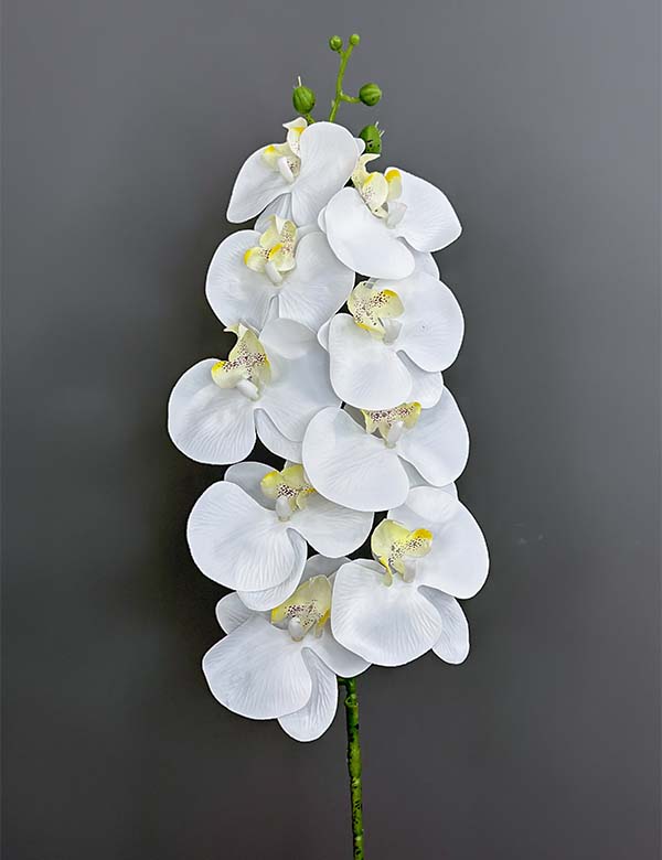 9pcs 3D single orchid 2524-51