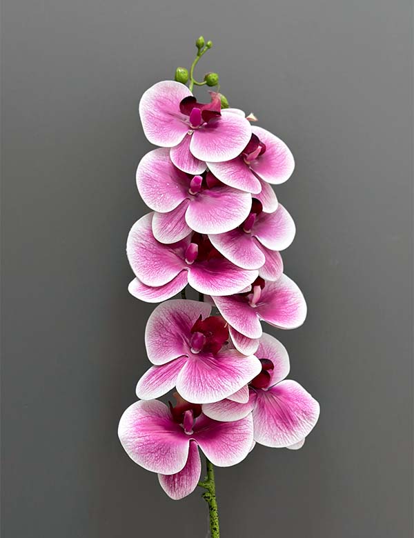 9pcs 3D single orchid 2524-53