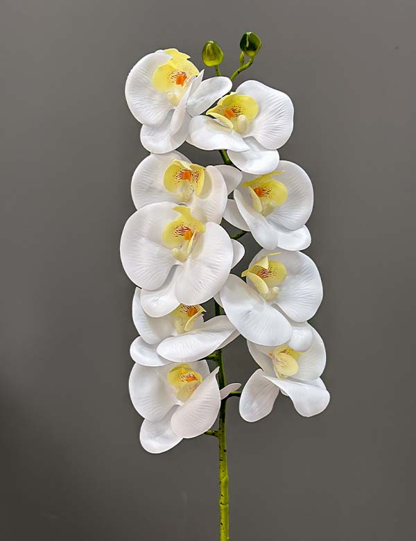 9pcs real touch single orchid 2524-54