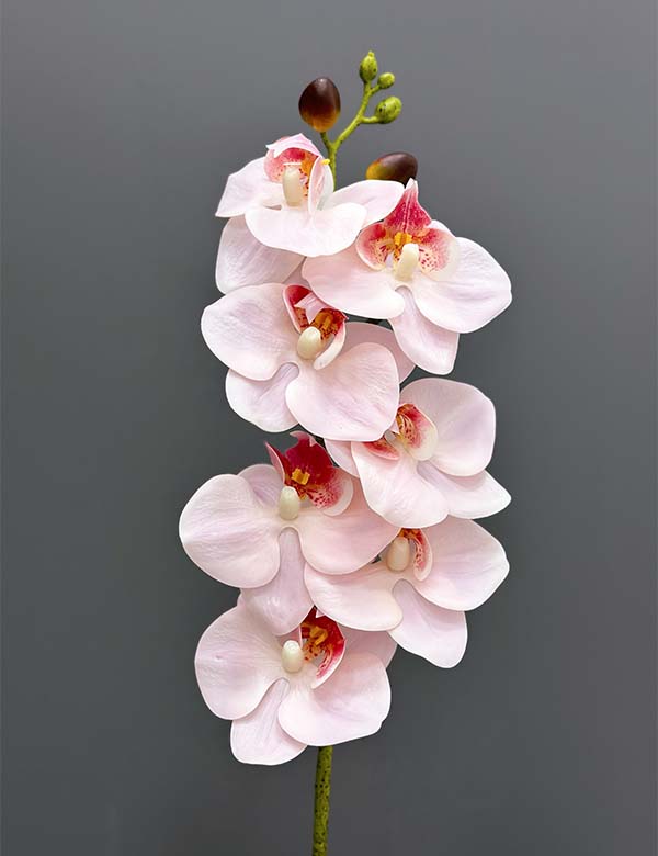 7pcs real touch single orchid 2524-55
