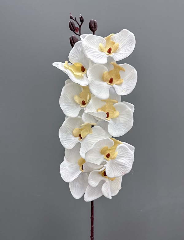 9pcs orchid 2524-56