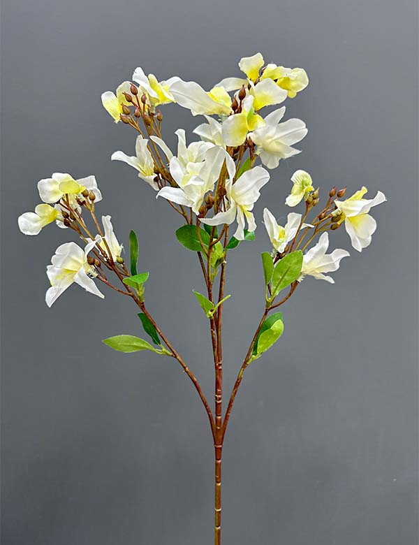 Single orchid 2524-65