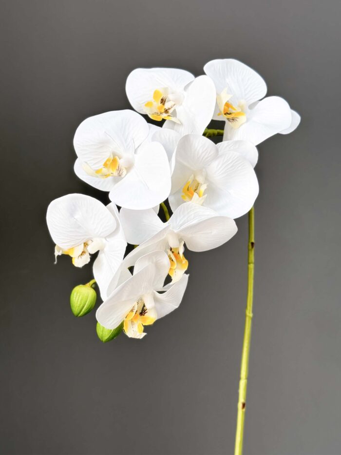 5F Real Touch Orchid 2524-77