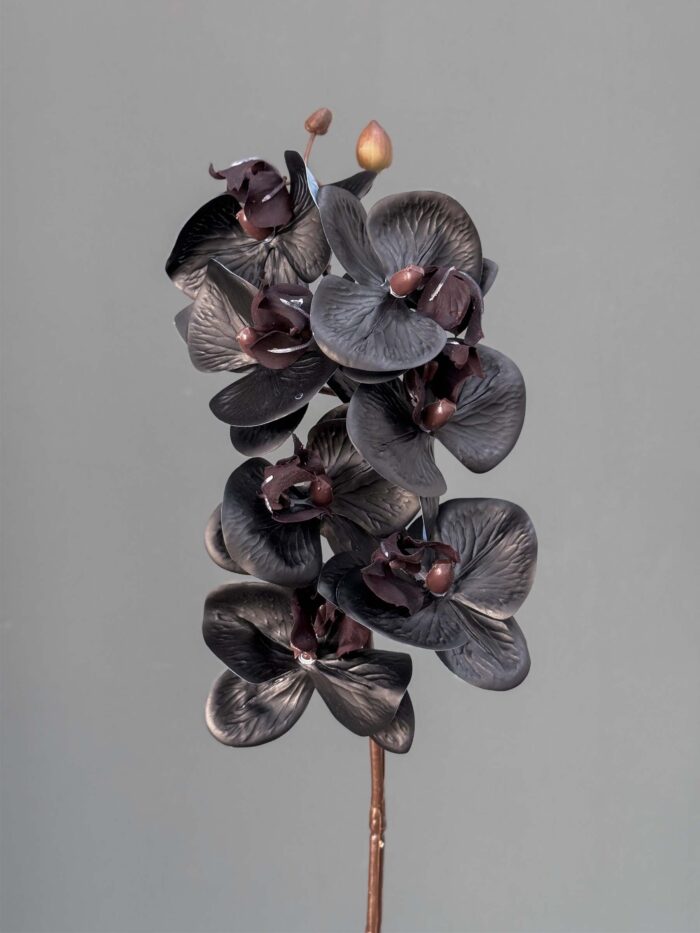 7F Real Touch Orchid 2524-79