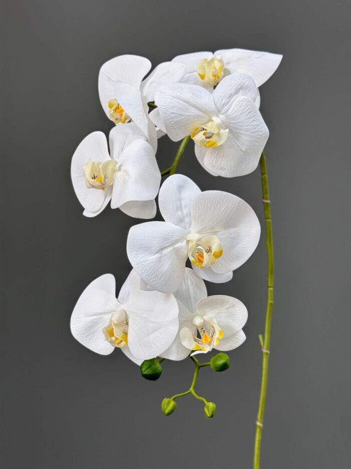 8F Real Touch Orchid 2524-80