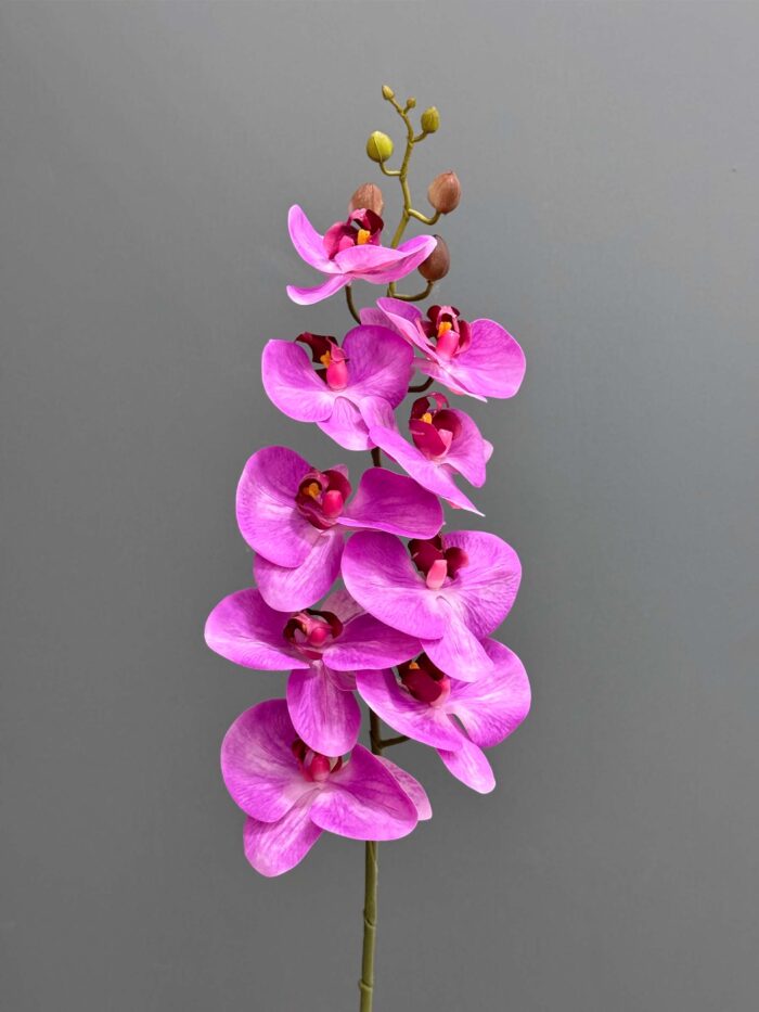 9F Real Touch Orchid 2524-81