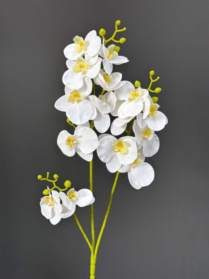 15 PCS Orchid 2524-86