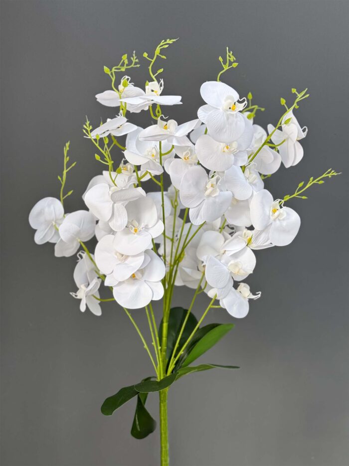 Orchid bunches 2524-90