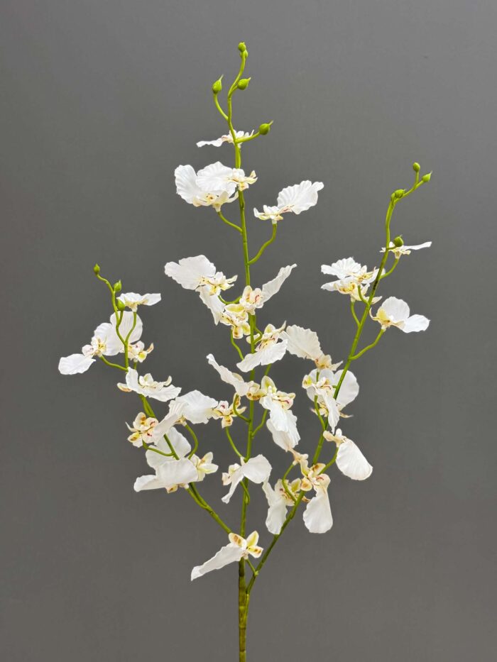 Dancing flower 4675-10