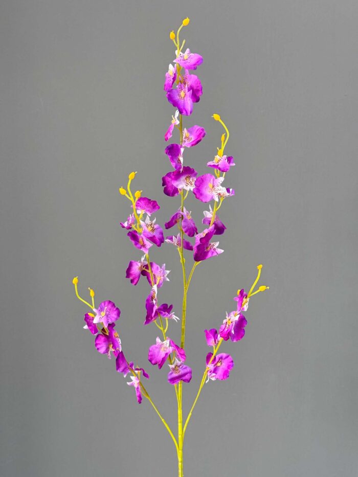 dancing flowers 4675-1