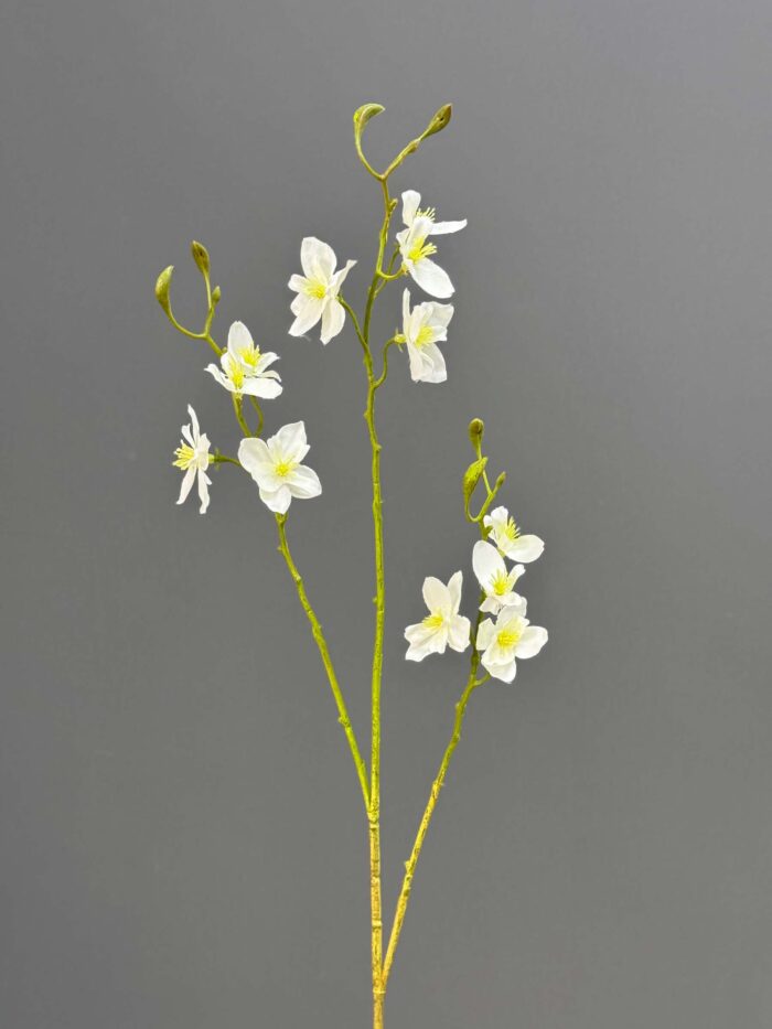 dancing flowers 4675-5