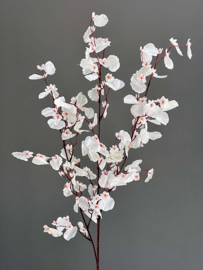 Dancing flowers 4675-6