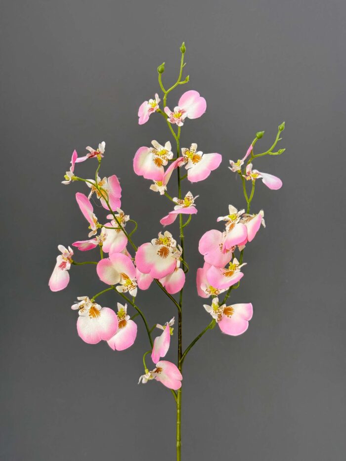 dancing flowers 4675-8