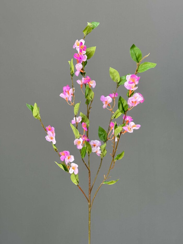 Cherryblossom 5895-1