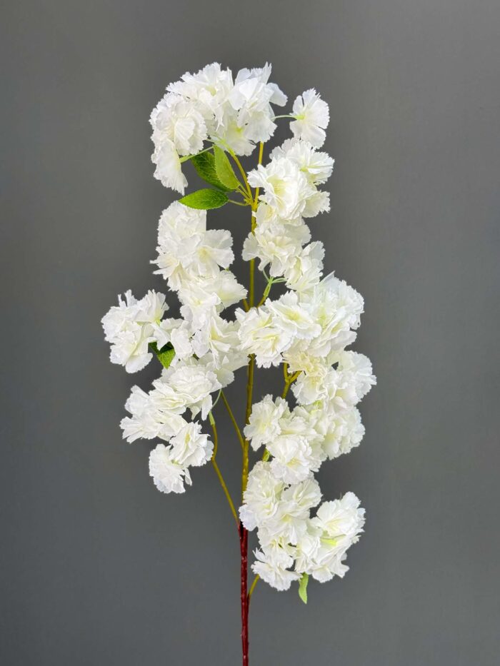 Cherryblossom 5895-2