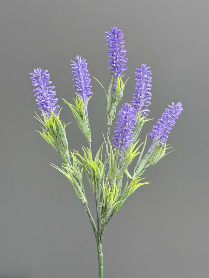Lavender 5911-10