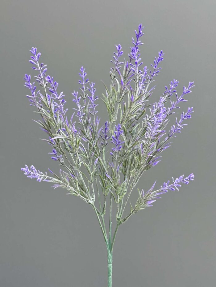 Lavender 5911-12