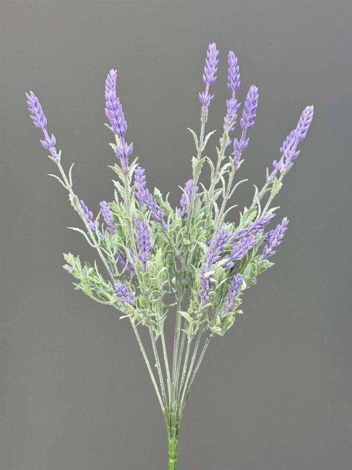 Lavender with foggy 5911-6