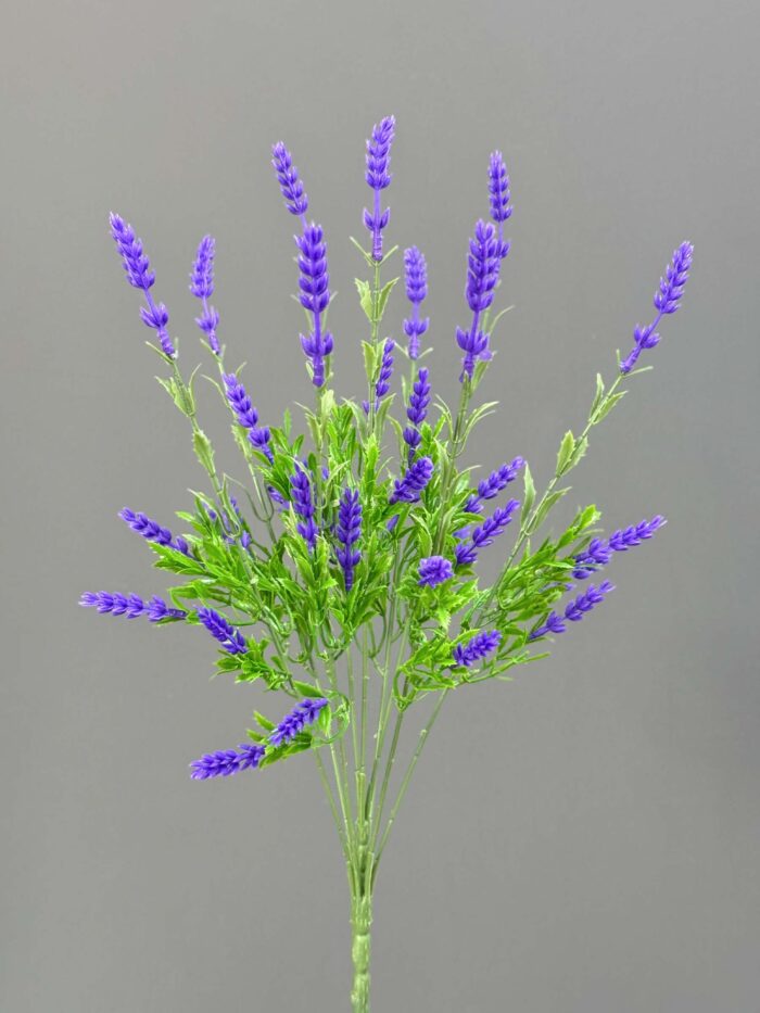 Lavender with foggy 5911-7