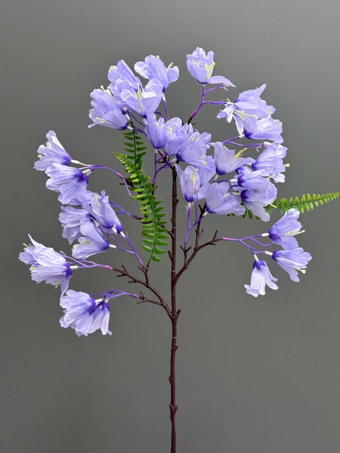 Jacaranda 6463-1