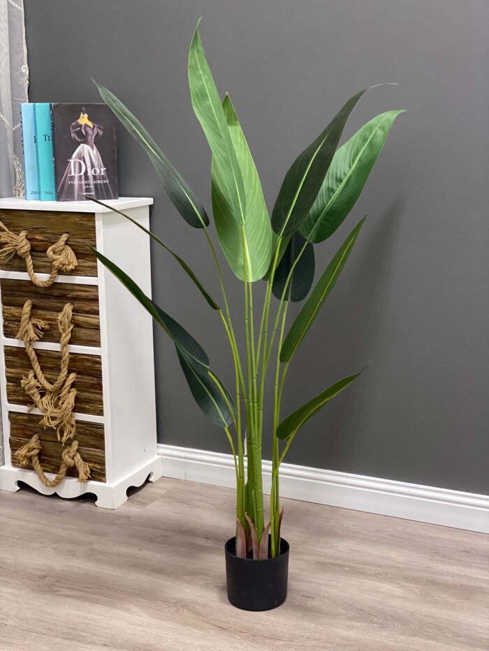 Paradise birds tree,Palm tree,120 cm 12 leaves 81-120