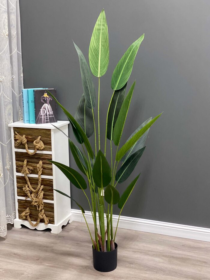 Paradise birds tree,175 cm 25 leaves 81-175