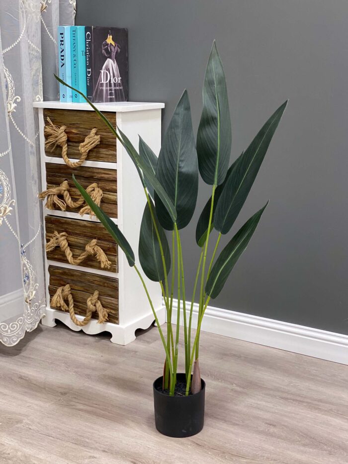 Paradise birds tree,90 cm 10 leaves 81-90