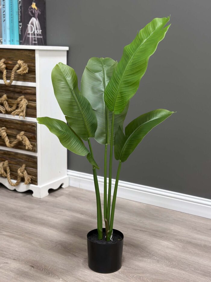 Banana tree 90 CM 82-1-90