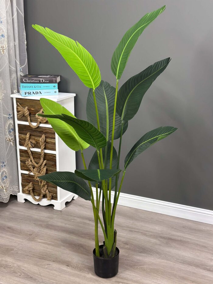 10pcs traveler banana tree 150cm 8300-2-150