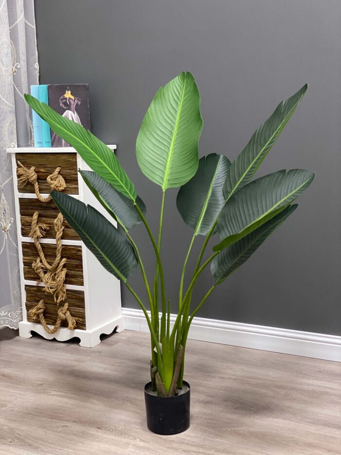 8pcs traveler banana tree 120 cm 8300-6-120