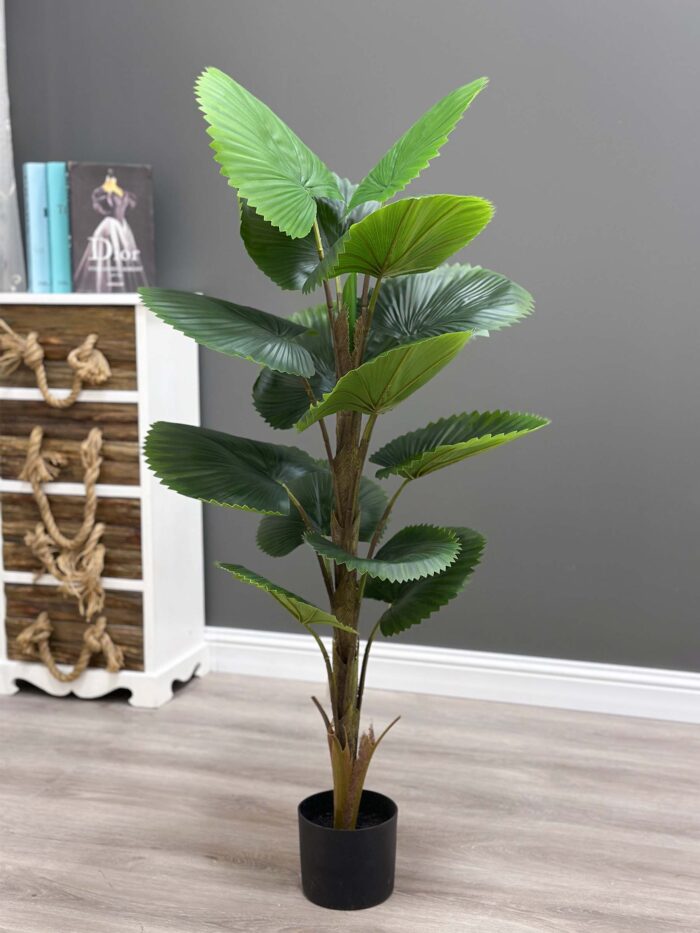 Fan palm tree 120 CM single pole 14 leaves 86-120