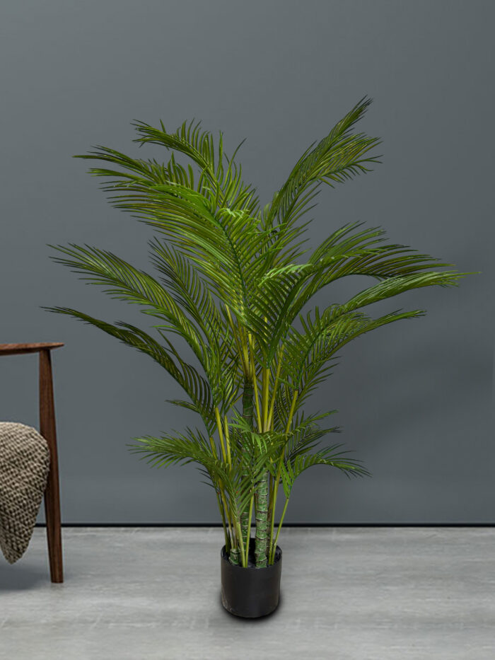 Palm tree 80-17