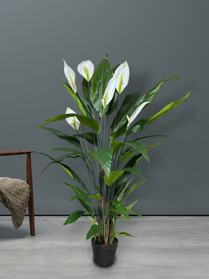 48″ POTTED SPATHIPHYLLUM PLANT W/42 LVS W/6 FLOWER 8332-48