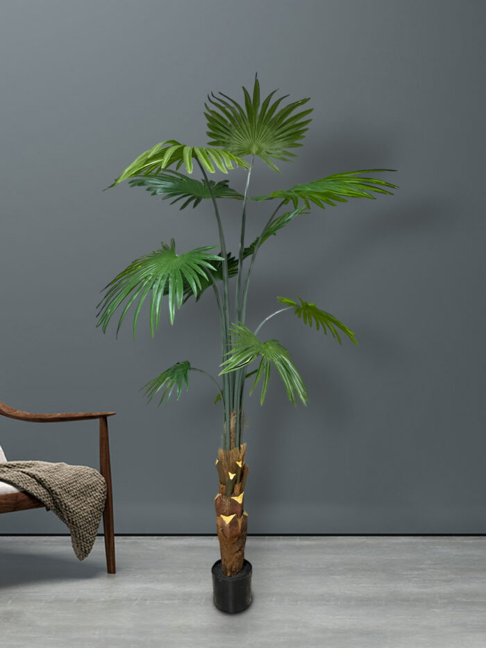 6′ POTTED FAN PALM W/11 LVS 8335-6