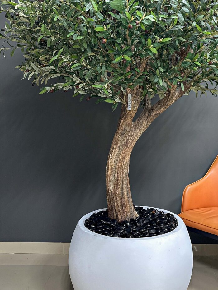 Stunning Olive Tree with Realistic Olives 9104
