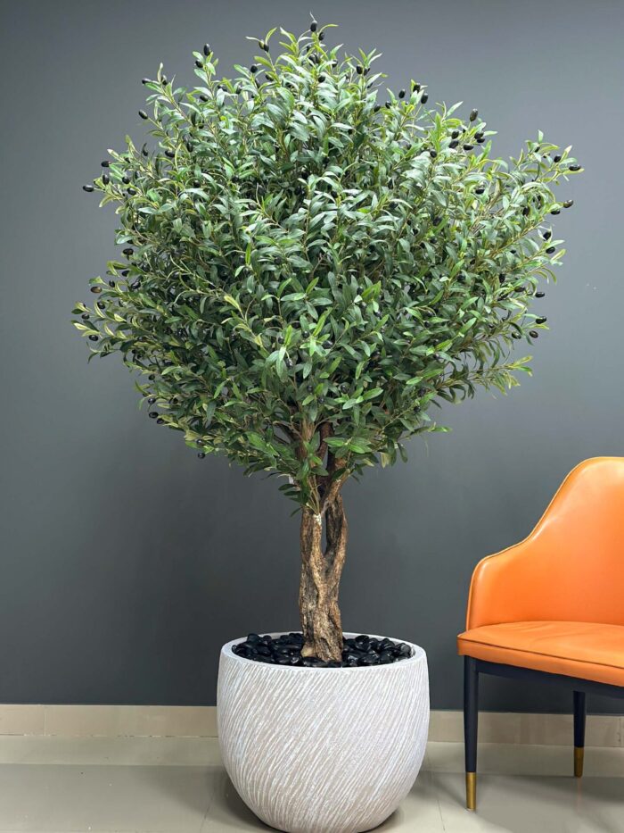 Stunning Olive Tree with Realistic Olives 9610