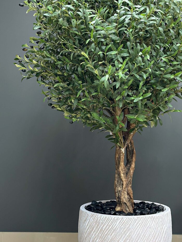 Stunning Olive Tree with Realistic Olives 9610