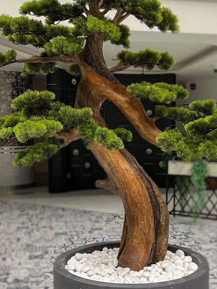 Bonsai Tree 9611