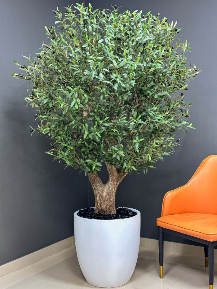 Stunning Olive Tree with Realistic Olives  9656